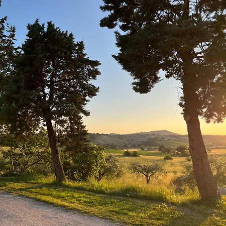 アパート Ca Bigia - In Casolare Con Piscina ペザロ