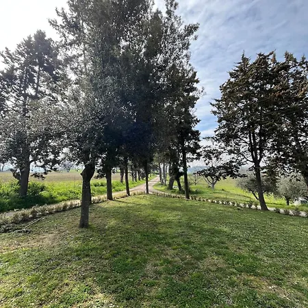 Ca Bigia - In Casolare Con Piscina * ペザロ