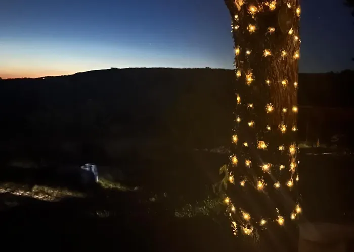 Διαμέρισμα Ca Bigia - In Casolare Con Piscina Πέζαρο